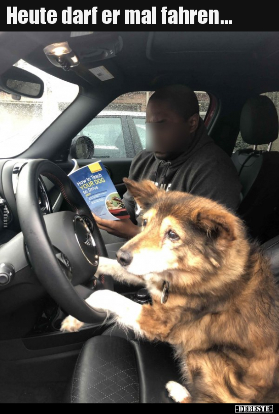 Heute darf er mal fahren...