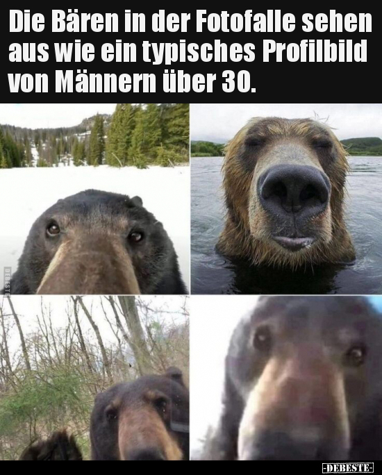 Die Bären in der Fotofalle sehen aus wie ein typisches.. - Lustige Bilder | DEBESTE.de