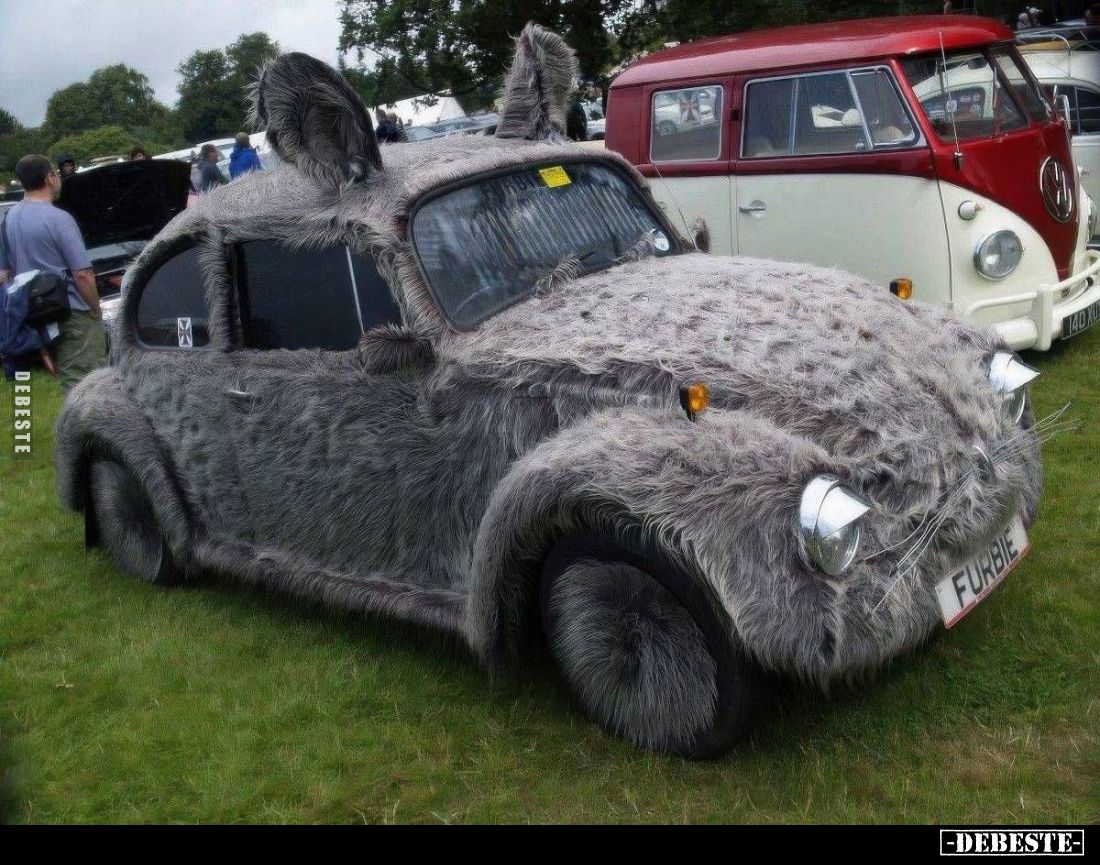  - Lustige Bilder | DEBESTE.de