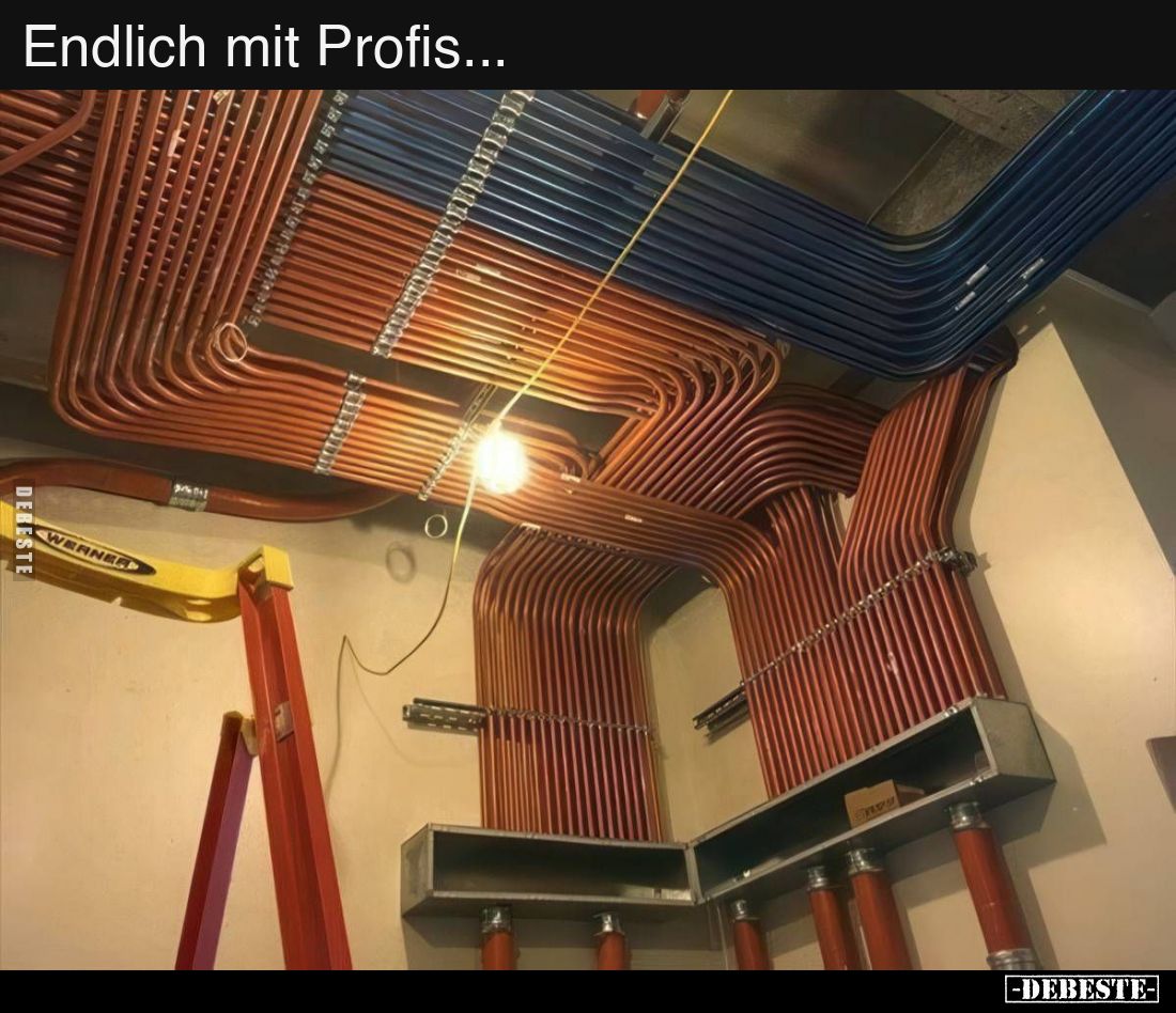 Endlich mit Profis...