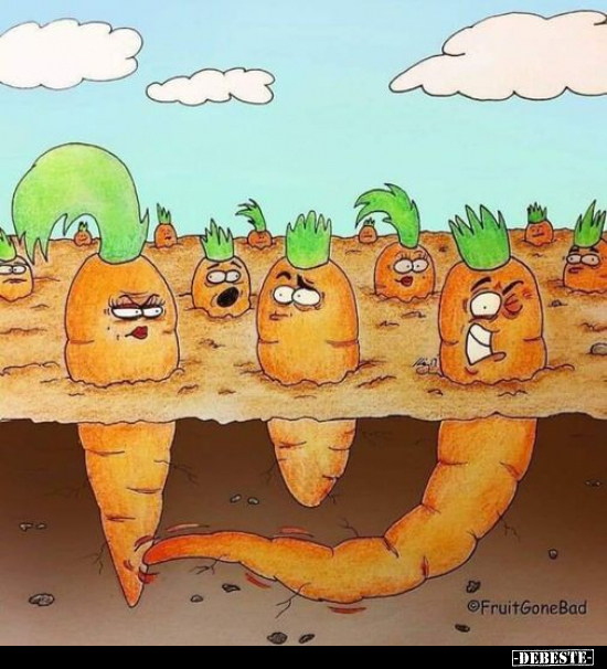 Damit ihr wisst warum manche Karotten so krum wachsen... - Lustige Bilder | DEBESTE.de