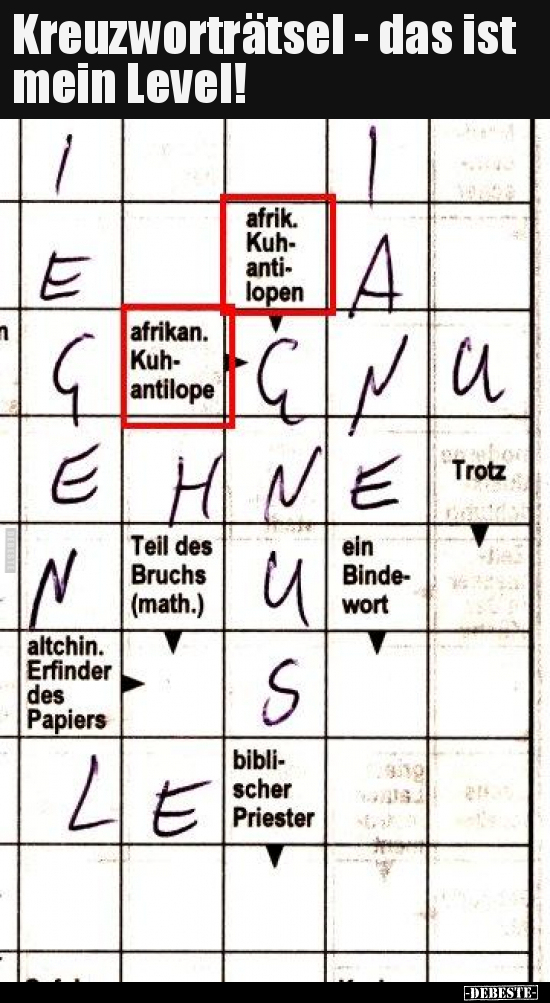 Kreuzworträtsel - das ist mein Level!.. - Lustige Bilder | DEBESTE.de