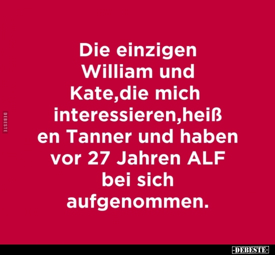 Die einzigen William und Kate, die mich interessieren..