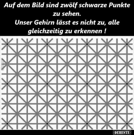 Auf dem Bild sind zwölf schwarze Punkte zu sehen.. - Lustige Bilder | DEBESTE.de