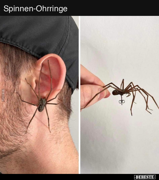 Spinnen-Ohrringe.. - Lustige Bilder | DEBESTE.de
