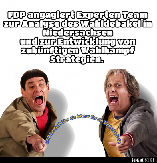 FDP engagiert Expertenteam zur Analyse das Wahldebakel in.. - Lustige Bilder | DEBESTE.de
