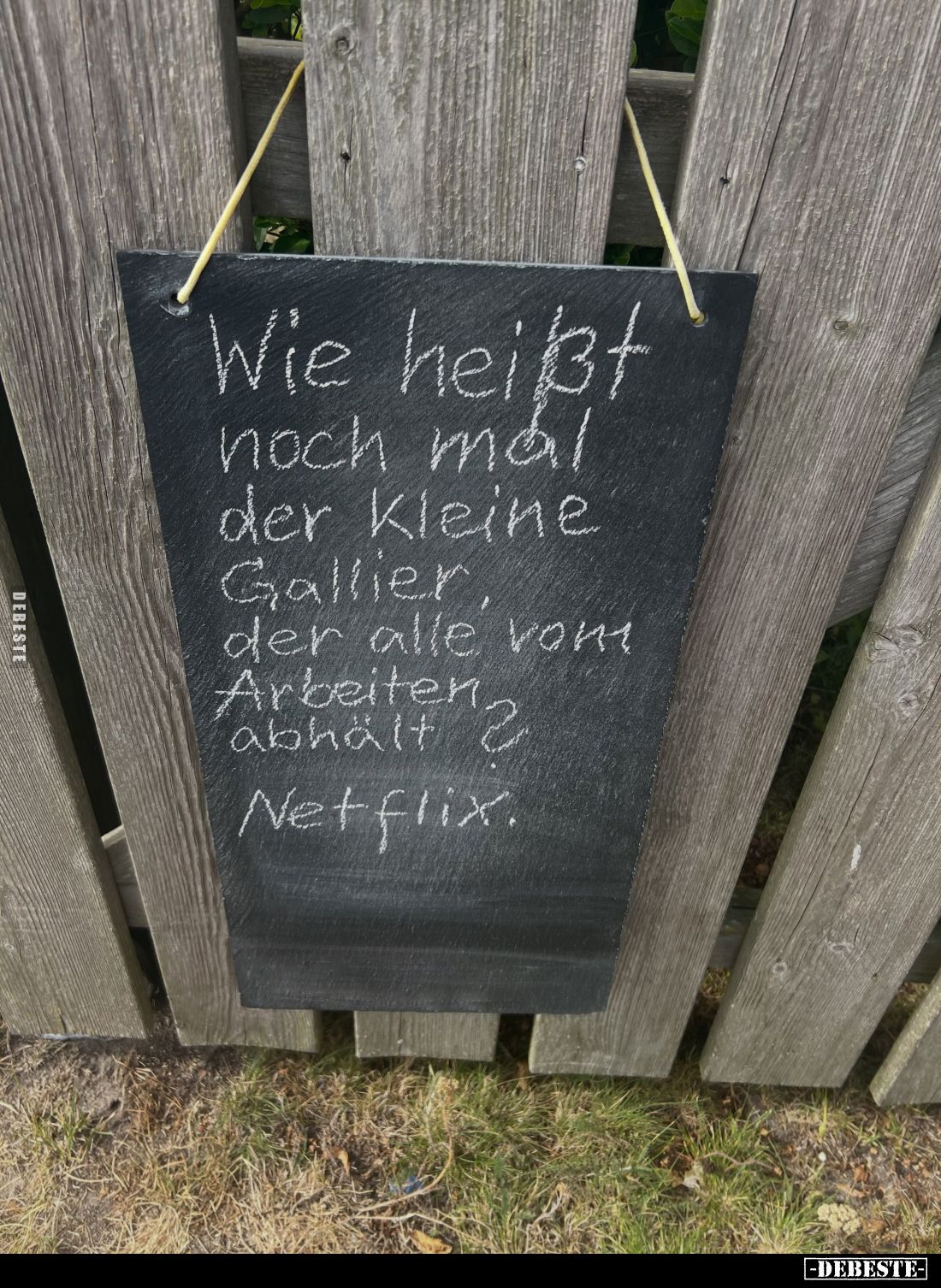 Wie heißt noch mal der kleine Gallier, der alle vom Arbeiten abhält?
Netflix.