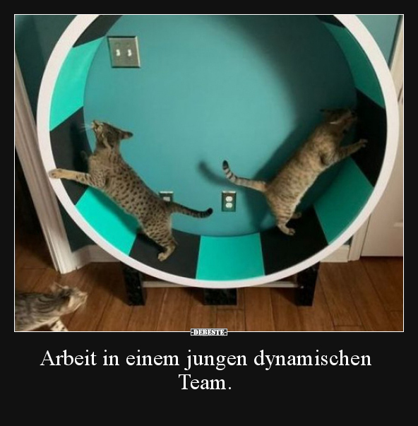 Arbeit in einem jungen dynamischen Team...
