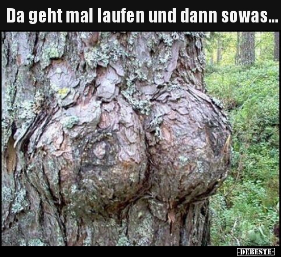 Da geht mal laufen und dann sowas...