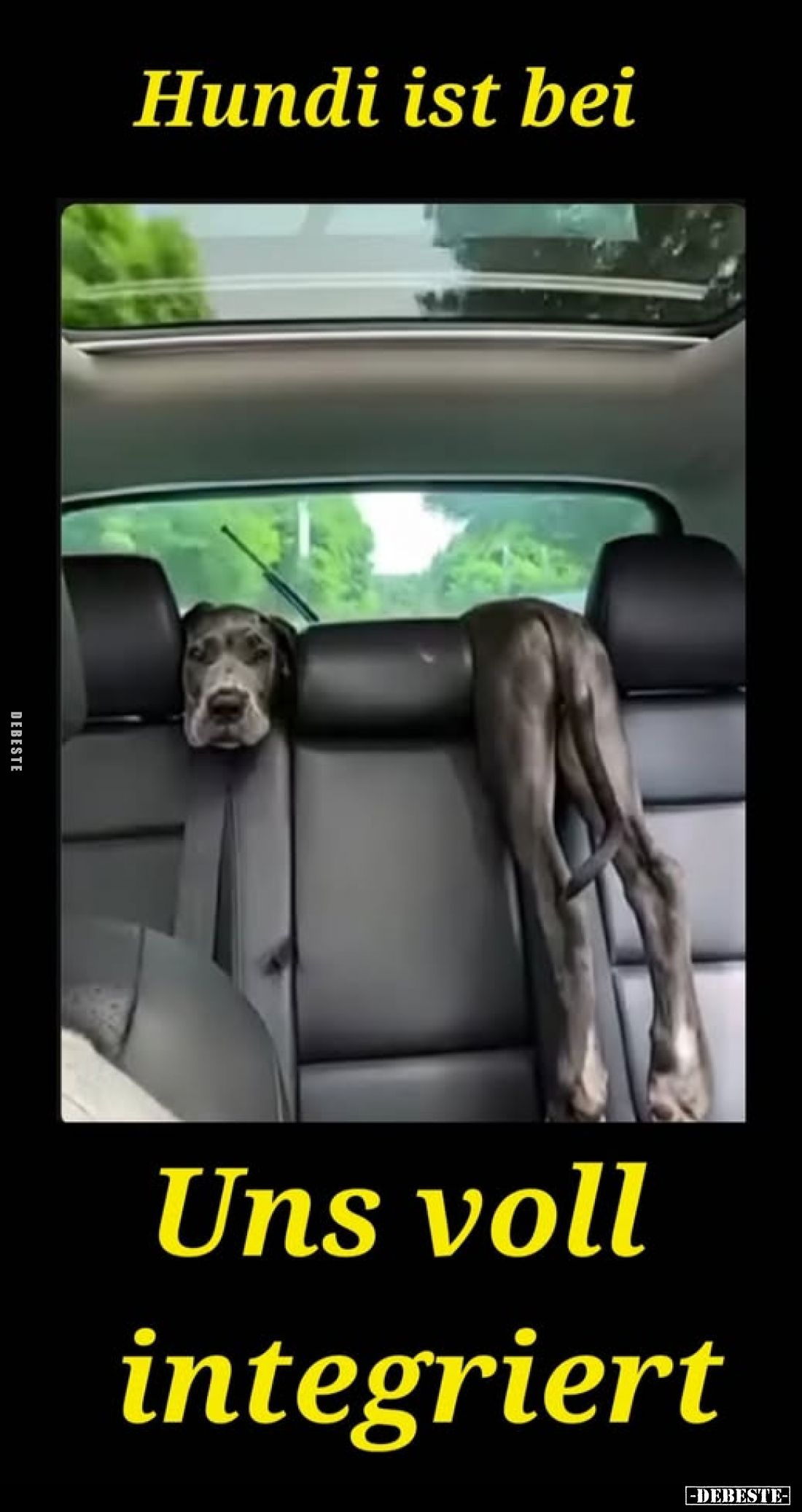 Hundi ist bei
Uns voll integriert.