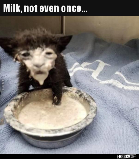 Milk, not even once...