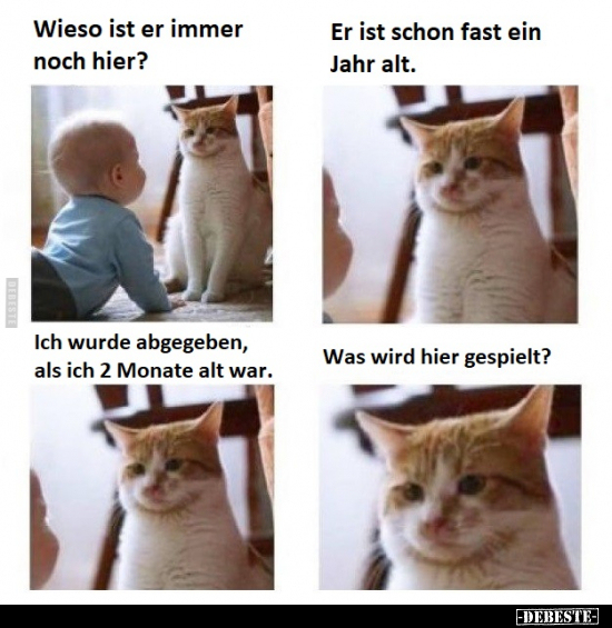 Wieso ist er immer noch hier?.. - Lustige Bilder | DEBESTE.de