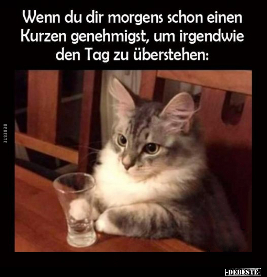 Wenn du dir morgens schon einen Kurzen genehmigst, um irgendwie den Tag zu überstehen: