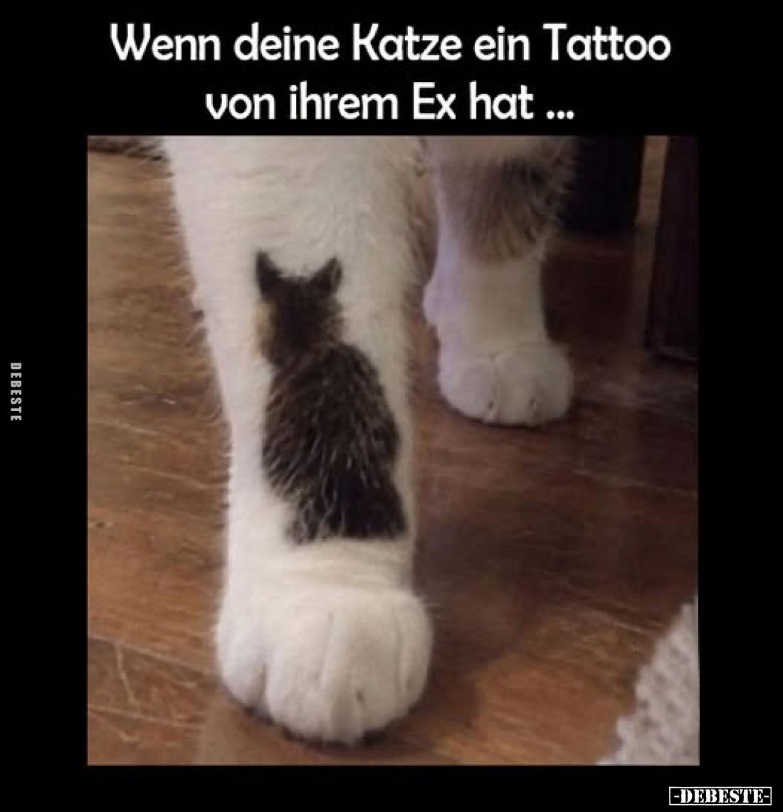 Wenn deine Katze ein Tattoo
von ihrem Ex hat ...