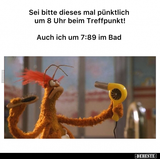 Lustige Bilder