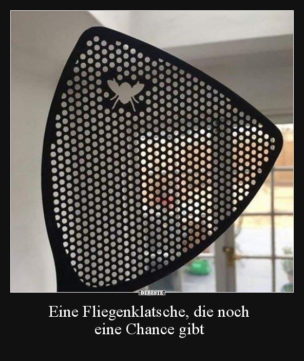 Eine Fliegenklatsche, die noch eine Chance gibt.. - Lustige Bilder | DEBESTE.de