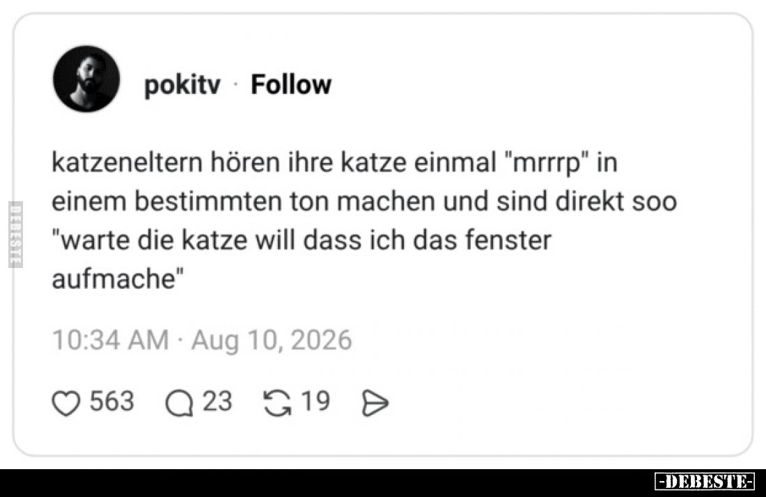 Katzeneltern hören ihre Katze einmal "mrrrp" in einem bestimmten Ton machen und sind direkt soo "warte die Kat...
