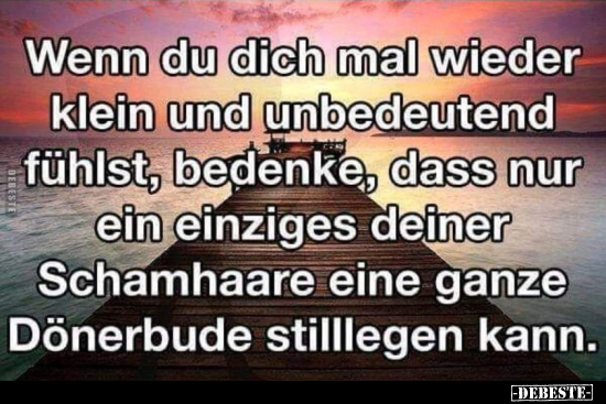 Wenn du dich mal wieder klein und unbedeutend fühlst, bedenke, dass nur ein einziges deiner Schamhaare eine ganze Dönerbude s...