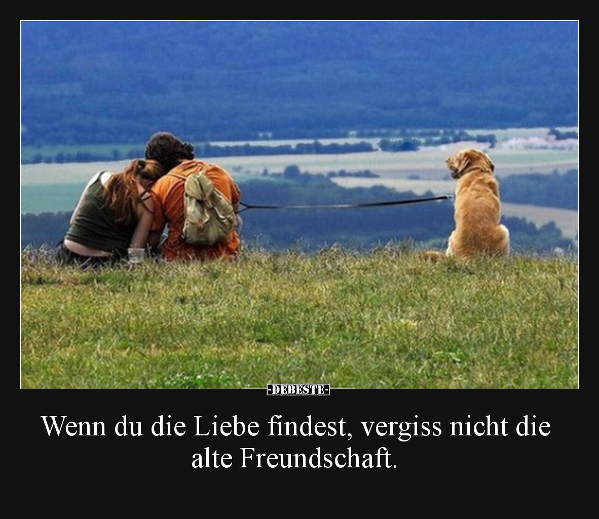 Wenn du die Liebe findest, vergiss nicht die alte.. - Lustige Bilder | DEBESTE.de
