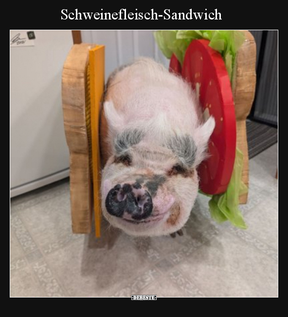 Schweinefleisch-Sandwich - Lustige Bilder | DEBESTE.de