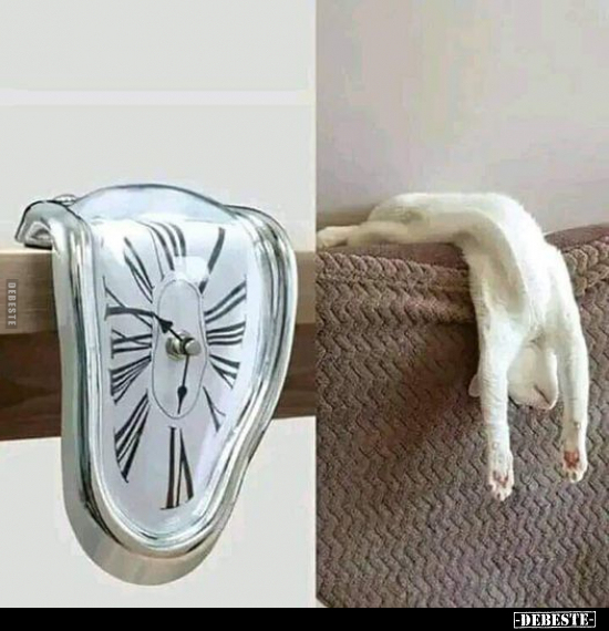  - Lustige Bilder | DEBESTE.de