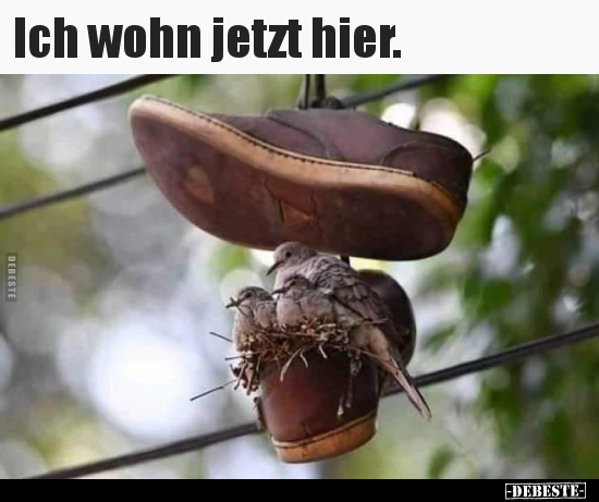 Ich wohn jetzt hier...