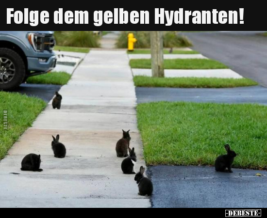 Folge dem gelben Hydranten!.. - Lustige Bilder | DEBESTE.de