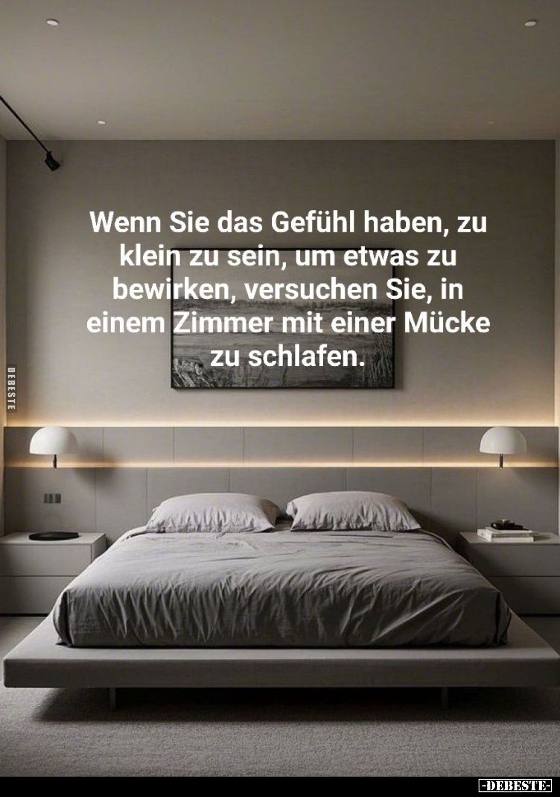Wenn Sie das Gefühl haben, zu klein zu sein, um etwas zu bewirken, versuchen Sie, in einem Zimmer mit einer Mücke zu schlafen...