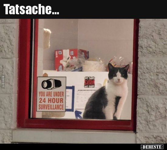 Tatsache...