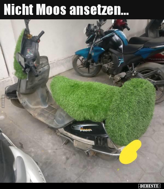 Nicht Moos ansetzen...