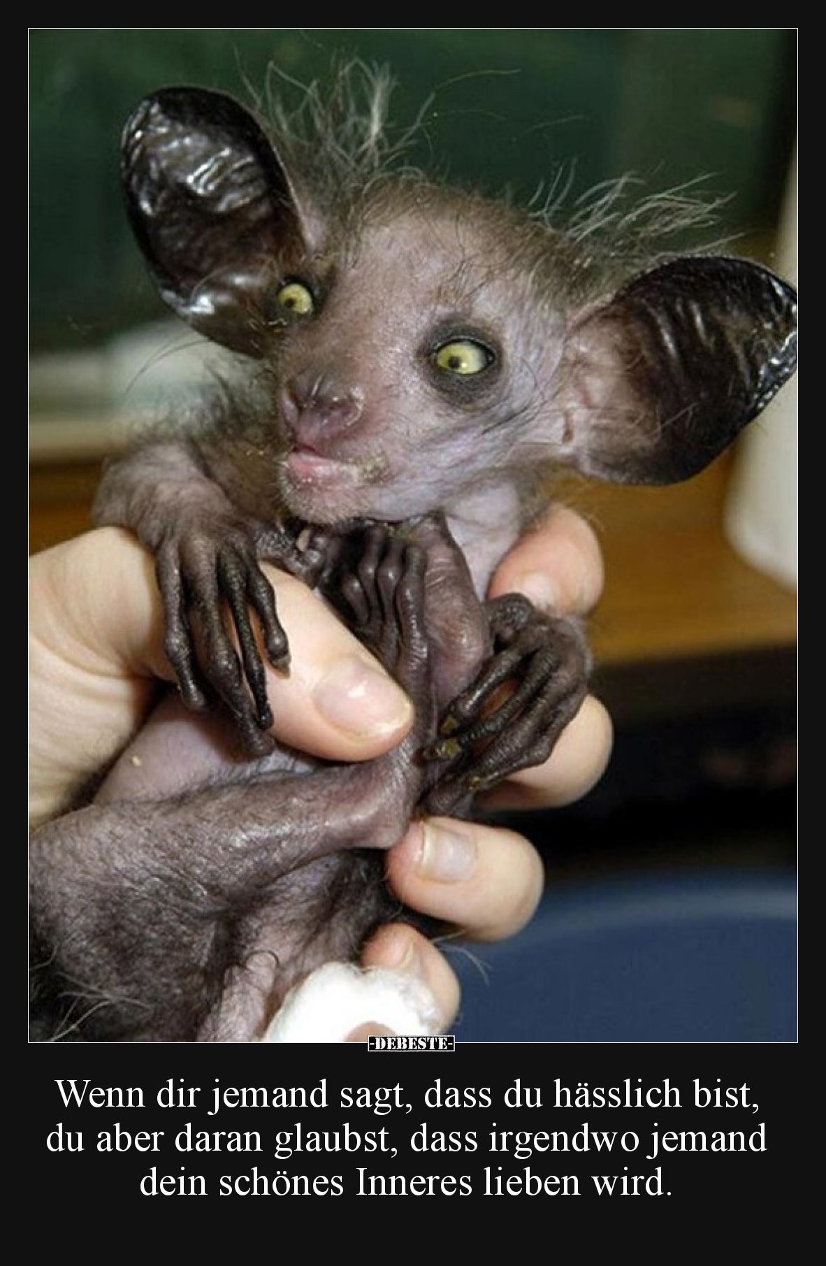 Wenn dir jemand sagt, dass du hässlich bist, du aber daran glaubst, dass irgendwo jemand dein schönes Inneres lieben wird.