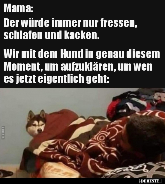 Mama: Der würde immer nur fressen, schlafen und.. - Lustige Bilder | DEBESTE.de