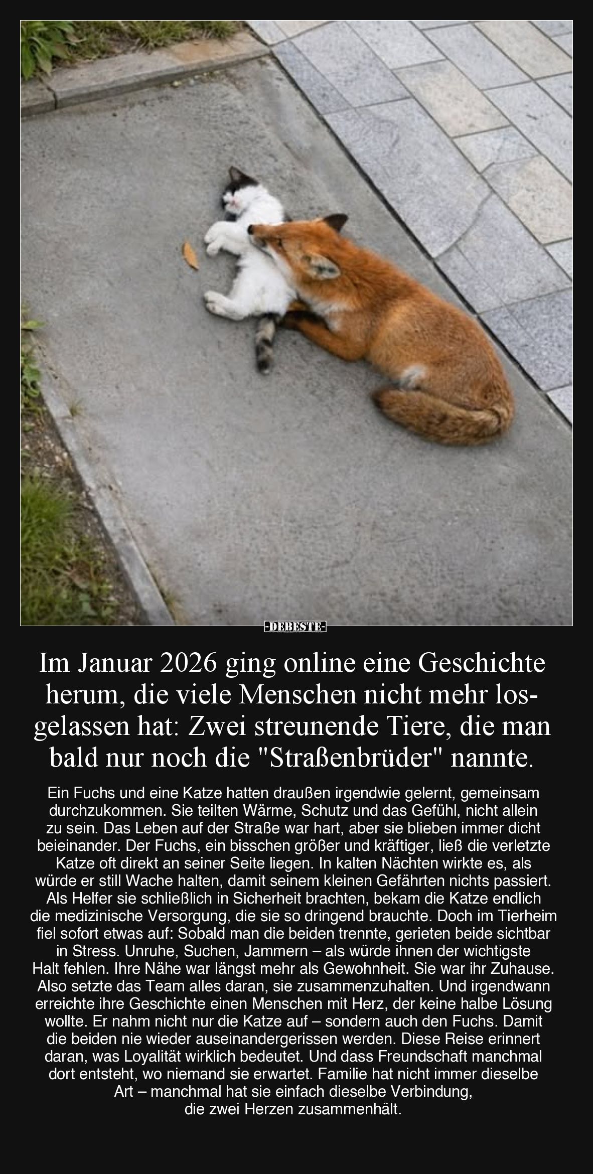 Im Januar 2026 ging online eine Geschichte herum, die viele Menschen nicht mehr losgelassen hat: Zwei streunende Tiere, die m...