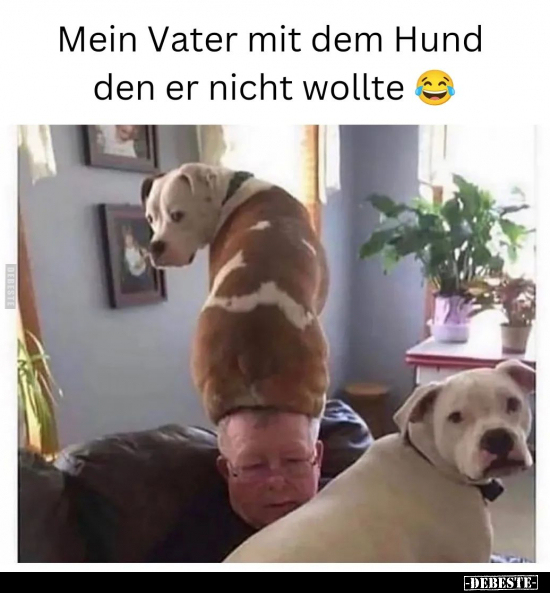 Mein Vater mit dem Hund den er nicht wollte.. - Lustige Bilder | DEBESTE.de