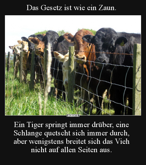 Das Gesetz ist wie ein Zaun. Ein Tiger springt immer.. - Lustige Bilder | DEBESTE.de