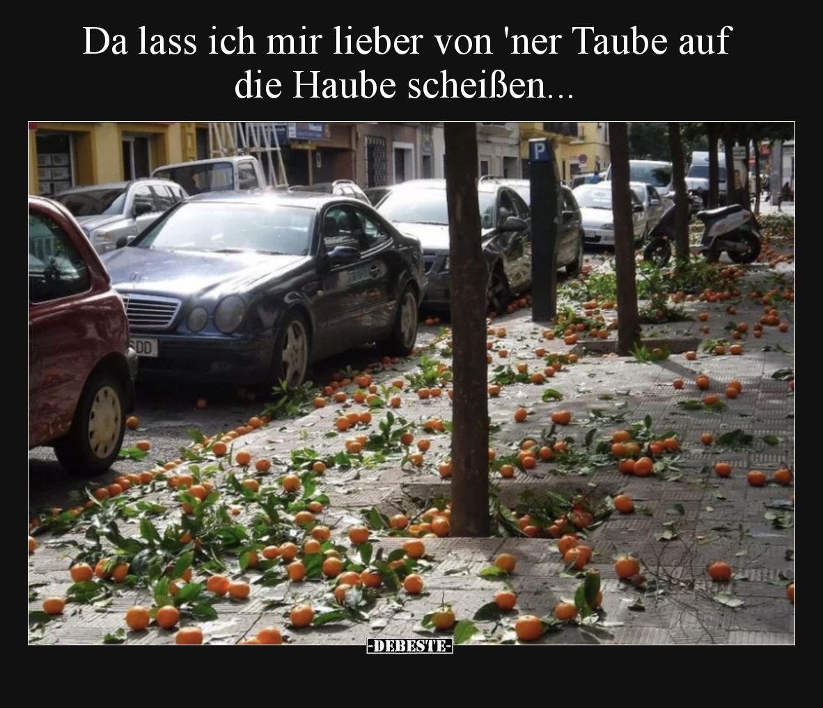 Da lass ich mir lieber von 'ner Taube auf die Haube scheißen...