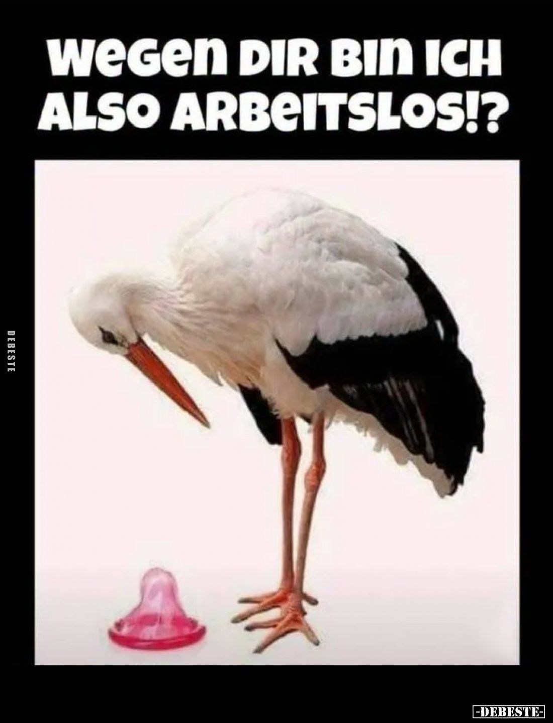 Wegen dir bin ich also arbeitslos!?.. - Lustige Bilder | DEBESTE.de