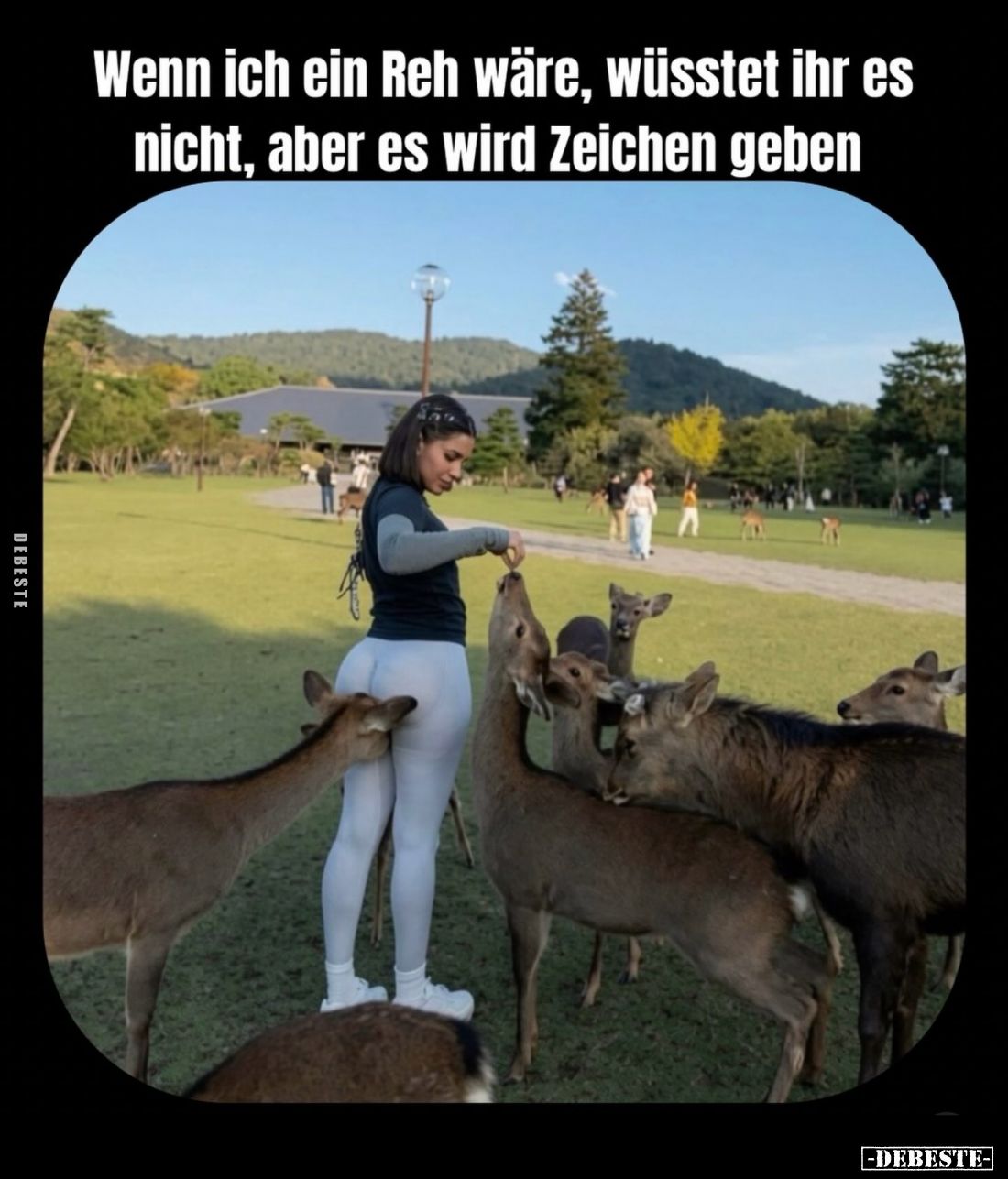 Wenn ich ein Reh wäre, wüsstet ihr es nicht, aber es wird Zeichen geben.