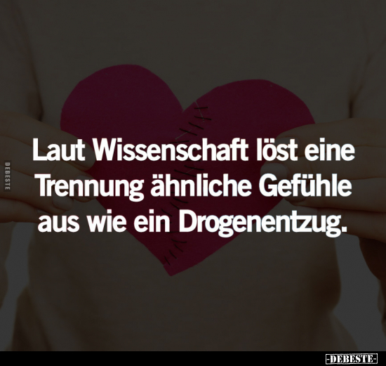 Laut Wissenschaft löst eine Trennung.. - Lustige Bilder | DEBESTE.de