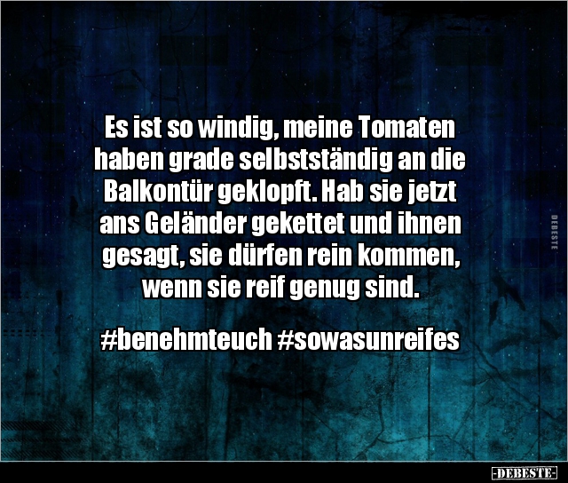 Es ist so windig, meine Tomaten haben grade.. - Lustige Bilder | DEBESTE.de