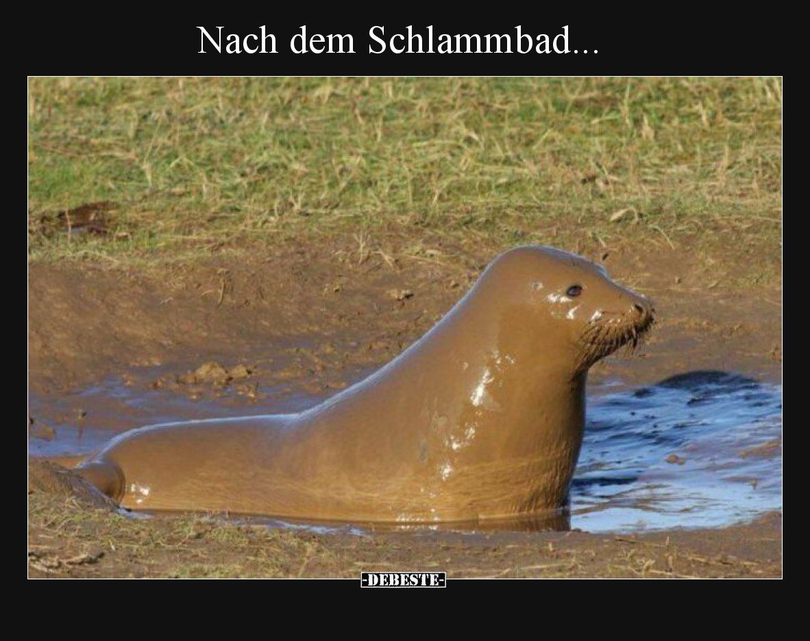 Nach dem Schlammbad