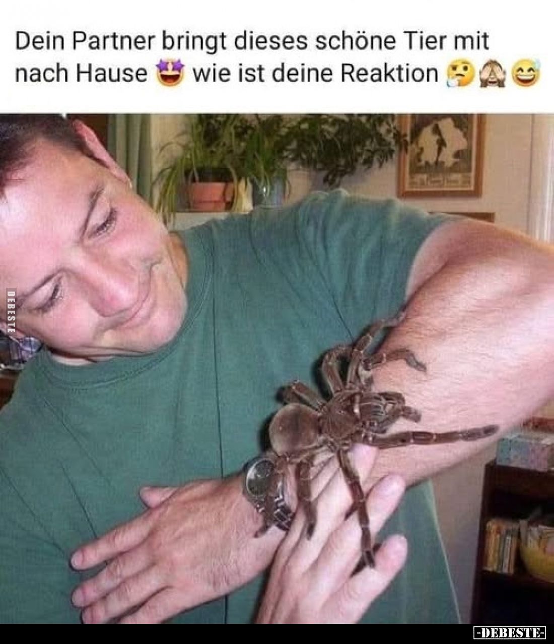 Dein Partner bringt dieses schöne Tier nach Hause. Wie ist deine Reaktion?