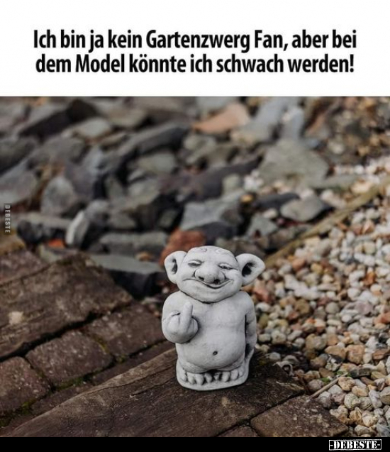 Ich bin ja kein Gartenzwerg Fan.. - Lustige Bilder | DEBESTE.de
