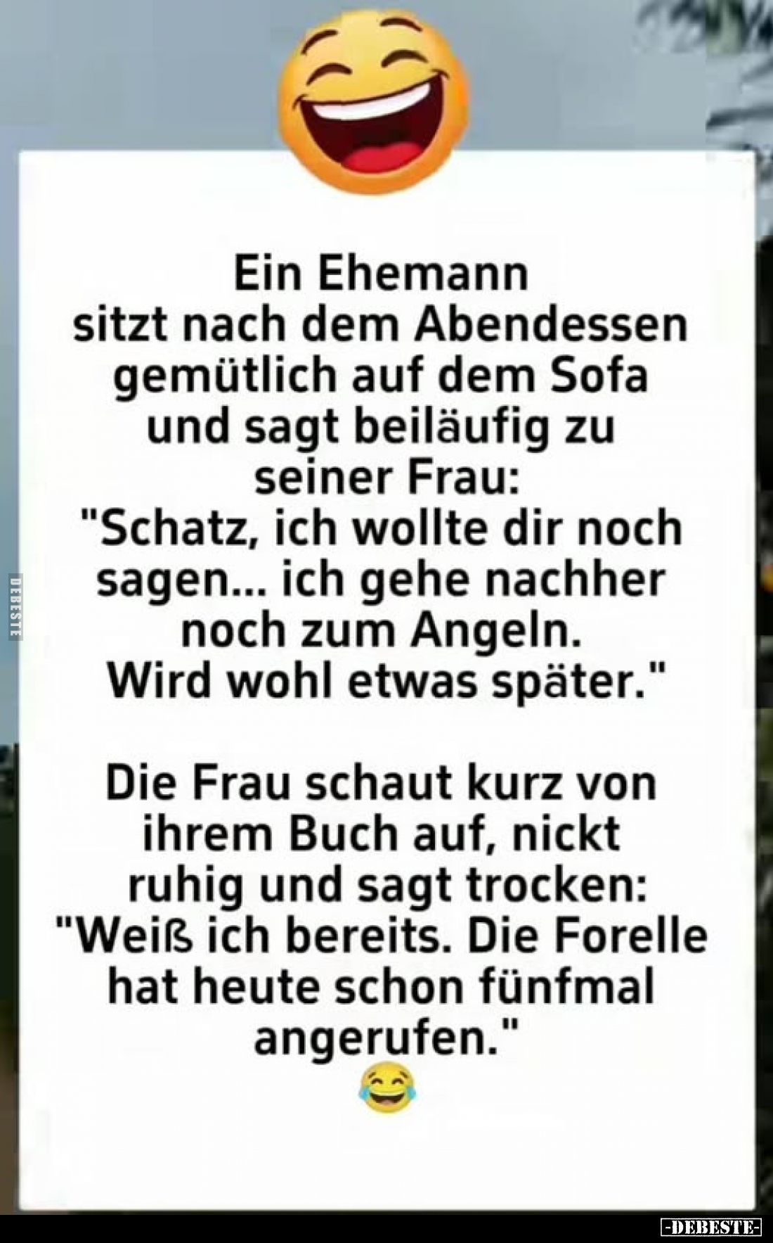 Ein Ehemann sitzt nach dem Abendessen gemütlich auf dem Sofa und sagt beiläufig zu seiner Frau: "Schatz, ich wollte dir ...