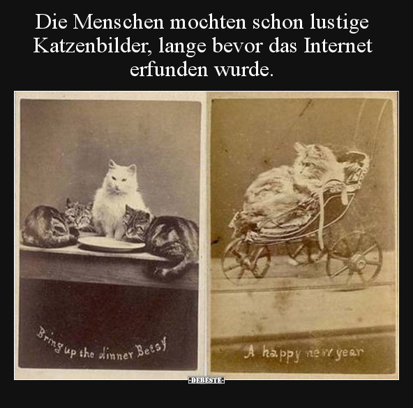Die Menschen mochten schon lustige Katzenbilder, lange.. - Lustige Bilder | DEBESTE.de