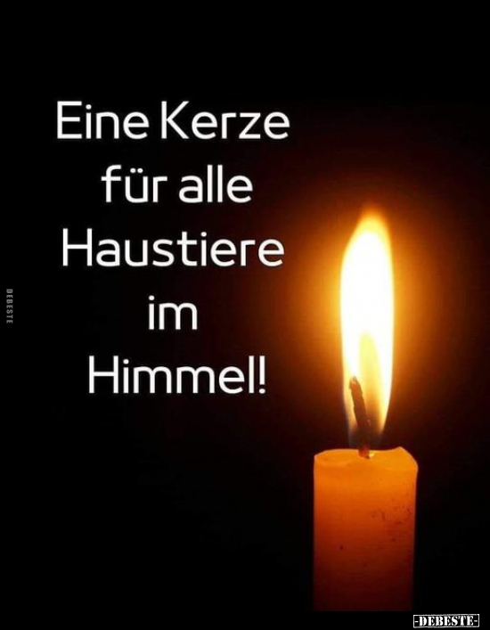 Eine Kerze für alle Haustiere im Himmel!.. - Lustige Bilder | DEBESTE.de