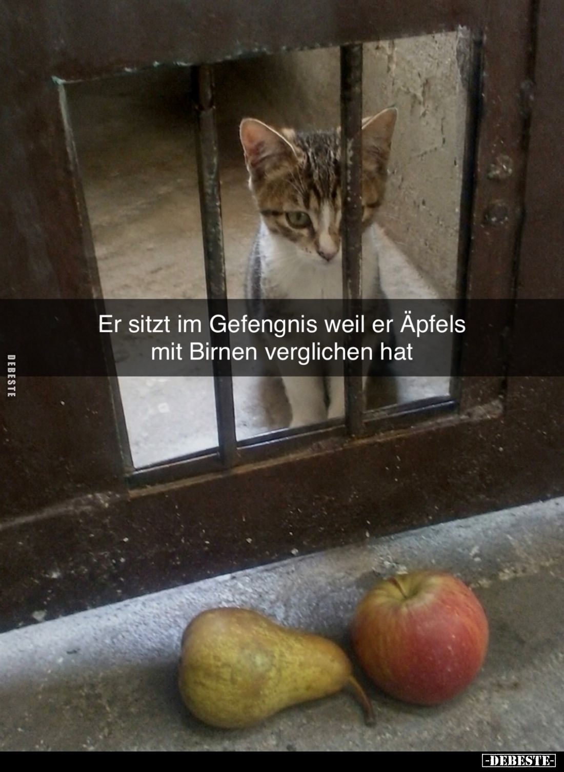 Er sitzt im Gefengnis weil er Äpfels mit Birnen verglichen hat.
