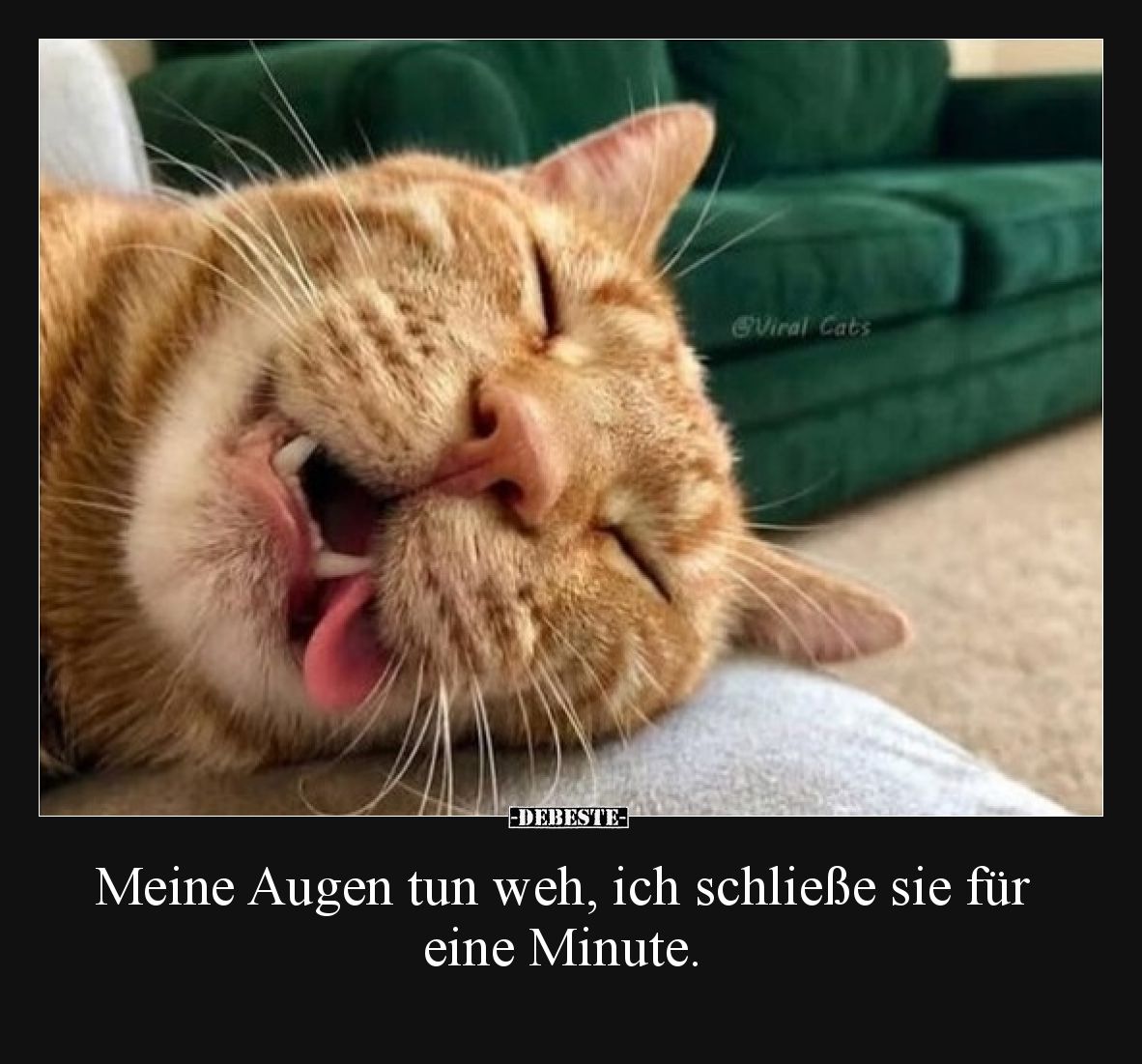 Meine Augen tun weh, ich schließe sie für eine Minute.