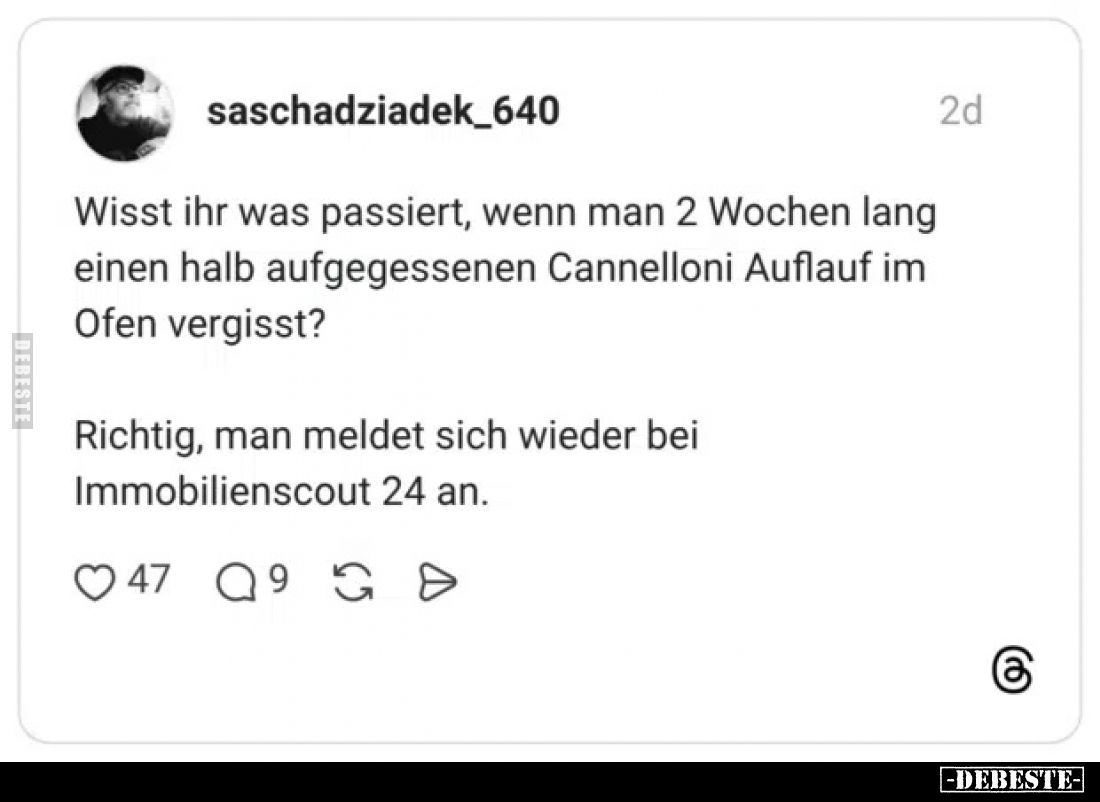 Wisst ihr was passiert, wenn man 2 Wochen lang einen halb aufgegessenen Cannelloni Auflauf im Ofen vergisst?
Richtig, man me...