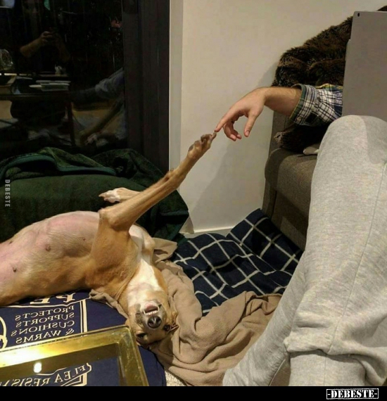  - Lustige Bilder | DEBESTE.de